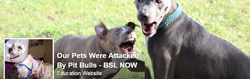pet-attacked-by-pit-bulls