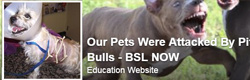 Our Pets Were Attacked by Pit Bulls – BSL Now