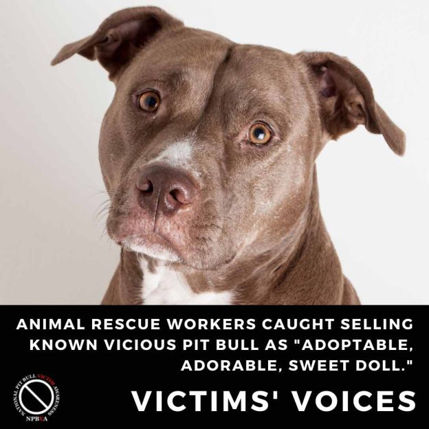 Animal rescue workers lies about pit bull endangered lives