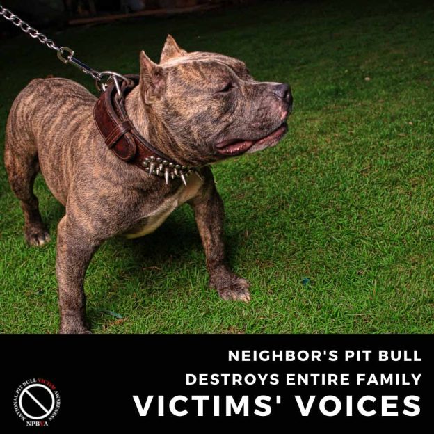 Neighbor's pit bull destroys entire family