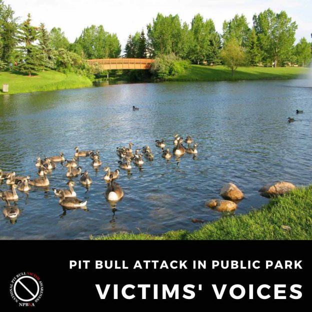 Pit bull attack in Bower Park, Red Deer, Alberta