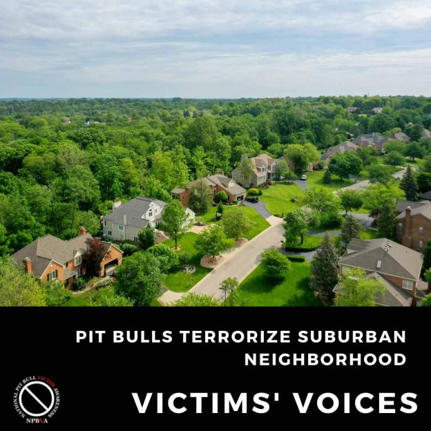 Pit bulls terrorize suburban neighborhood